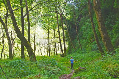 Snapshot: Northwest Yunnan's Damaidi Canyon