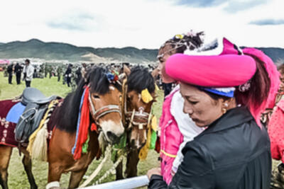 Tibetan horse racing in Shangri-la