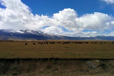 Shangri-la to nowhere: A week on the edge of Tibet, part 2